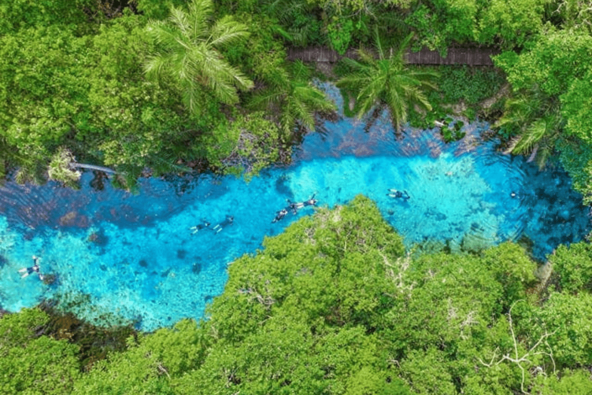 o que fazer no mato grosso do sul