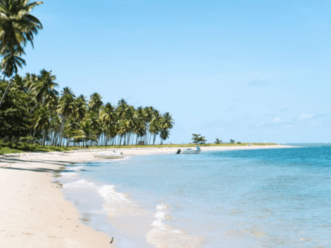 o que fazer na bahia