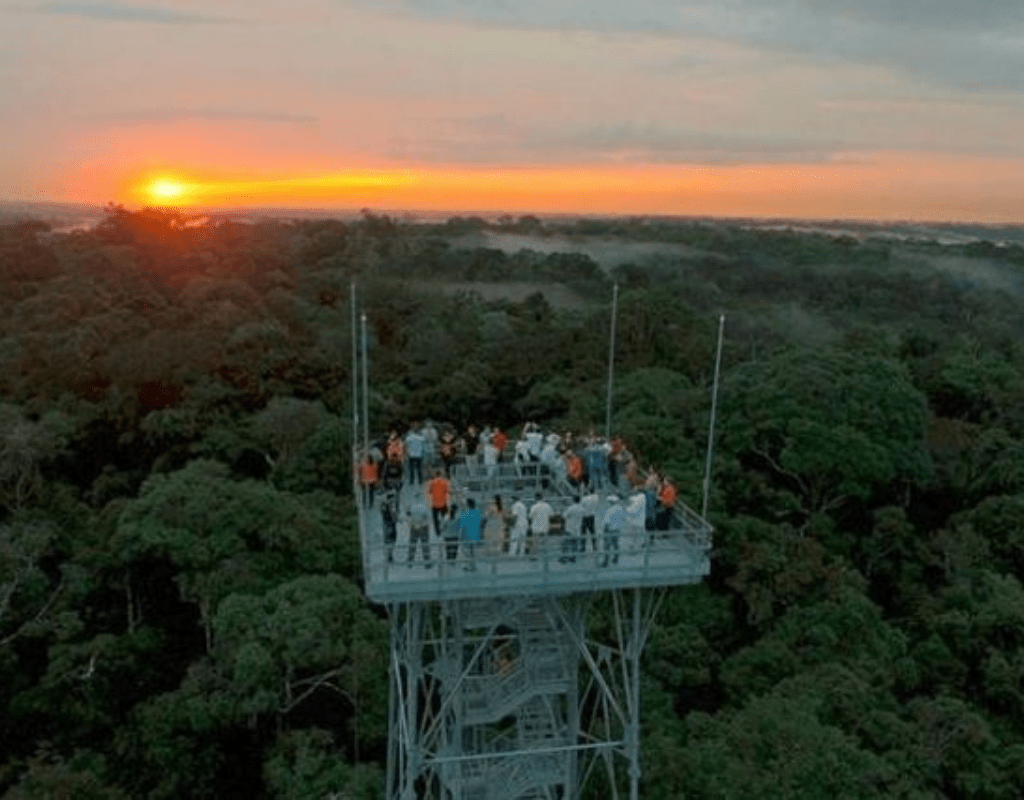 mirante na floresta amazonica