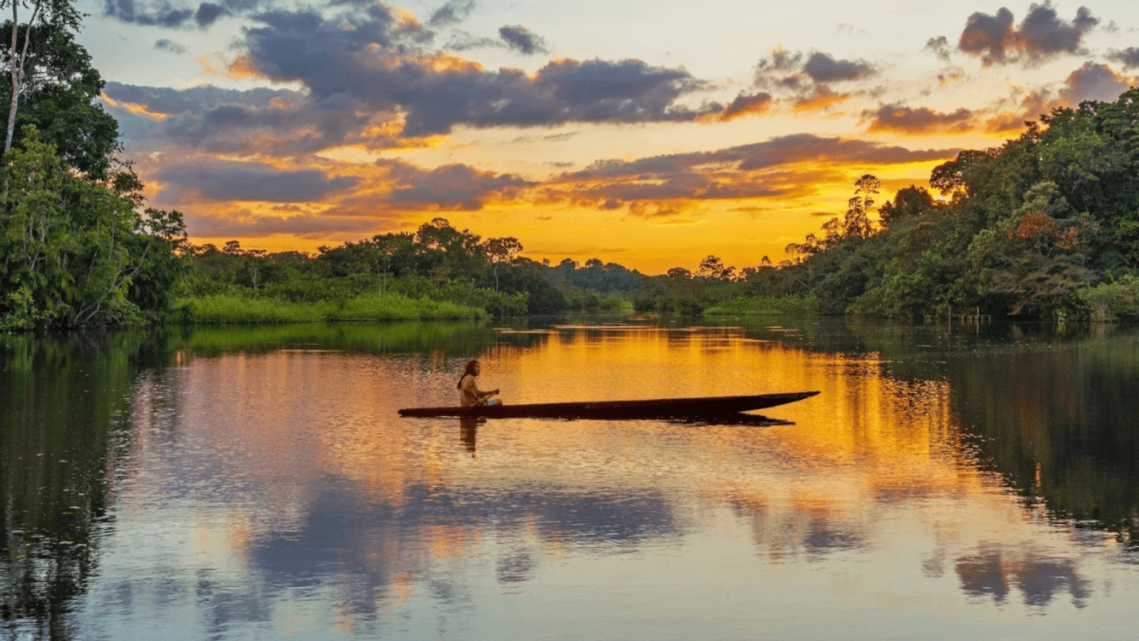 o que fazer no amazonas