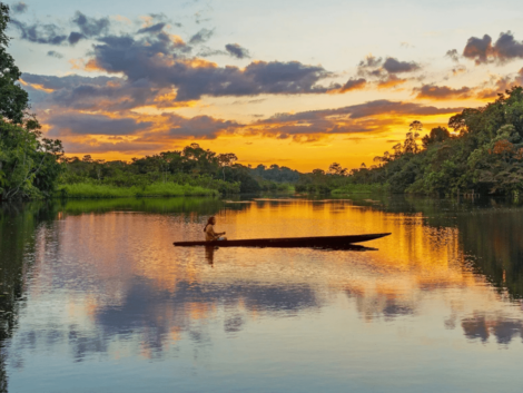 o que fazer no amazonas