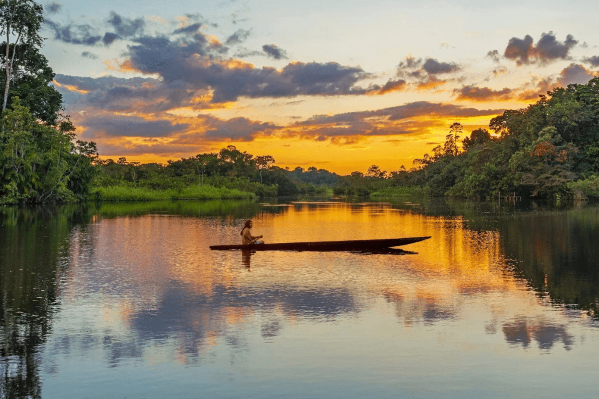 o que fazer no amazonas